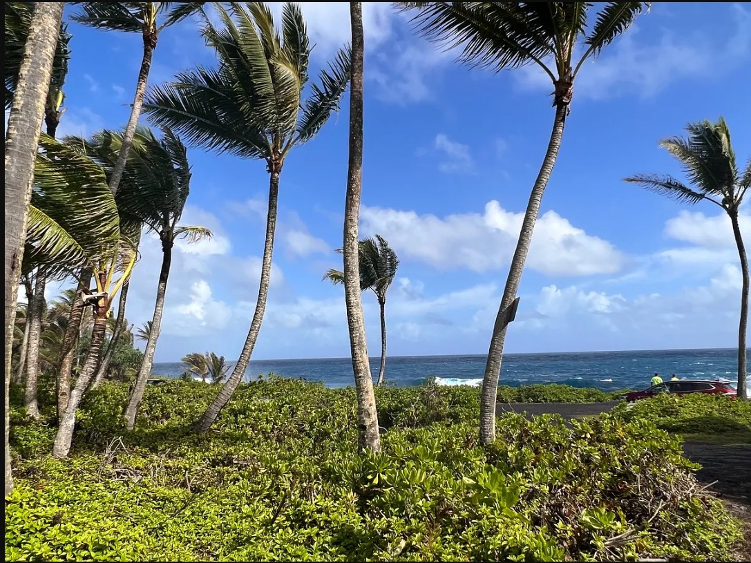 Hawaiian Parks Subdivision Property Photo 1