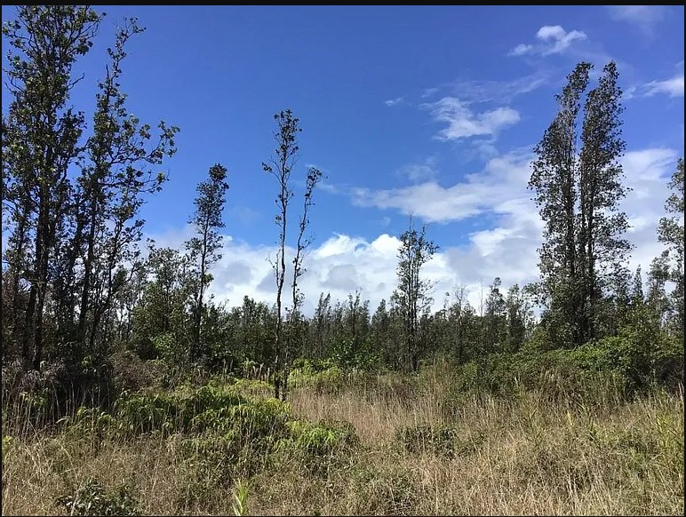 Sw Road 8 (moho) Property Photo 1